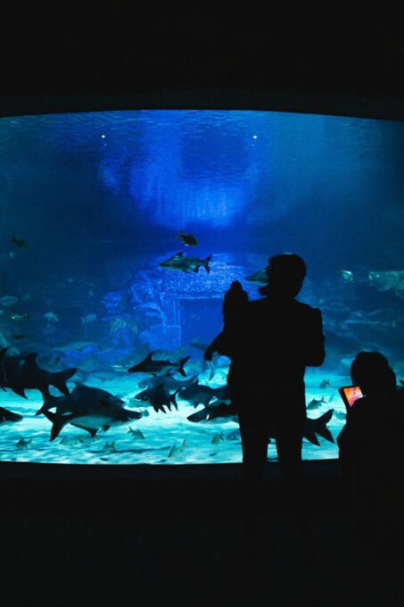 Siem Reab: Angkor Wildlife & Aquarium - Flexible Booking Process
