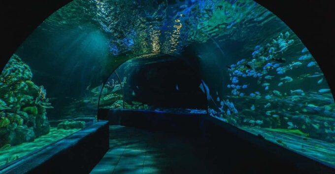 Siem Reab: Angkor Wildlife & Aquarium - Frequently Asked Questions