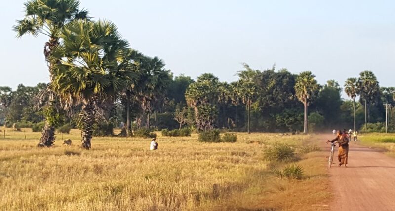 Siem Reap: 3-Hour Ancient Trails Motorbike Tour - Experience Highlights