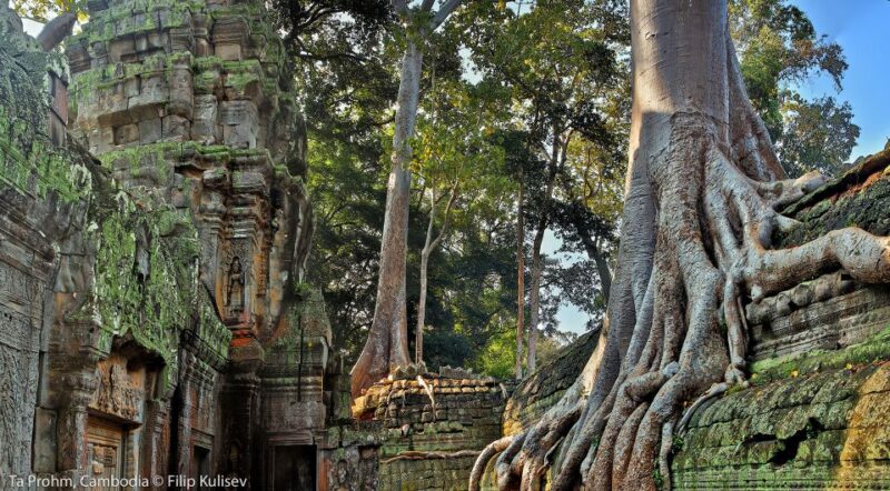 Siem Reap: 4-Day Angkor Wat and Beng Mealea Tour - Itinerary Highlights