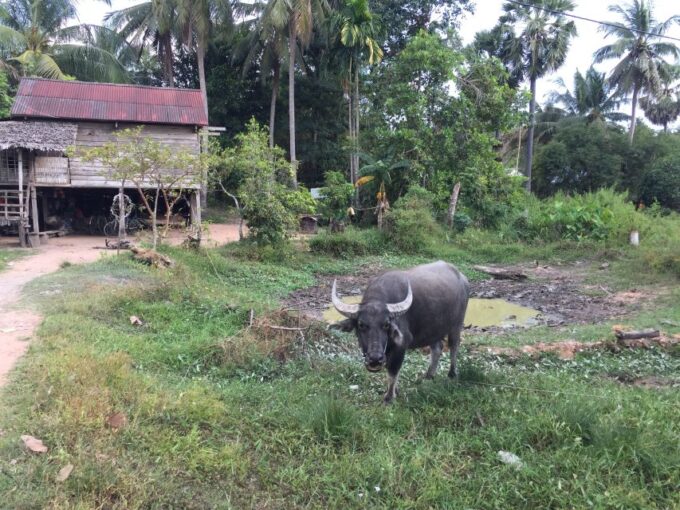Siem Reap: 4-Day Angkor Wat and Beng Mealea Tour - Frequently Asked Questions