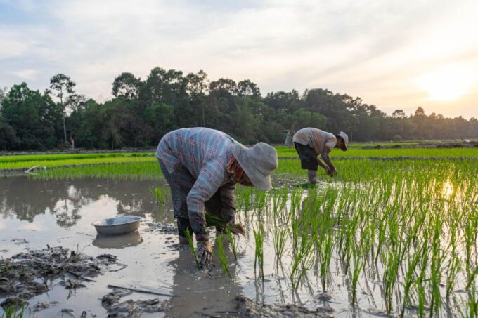 Siem Reap: Afternoon Cooking Class & Village Tour - Inclusions and Exclusions