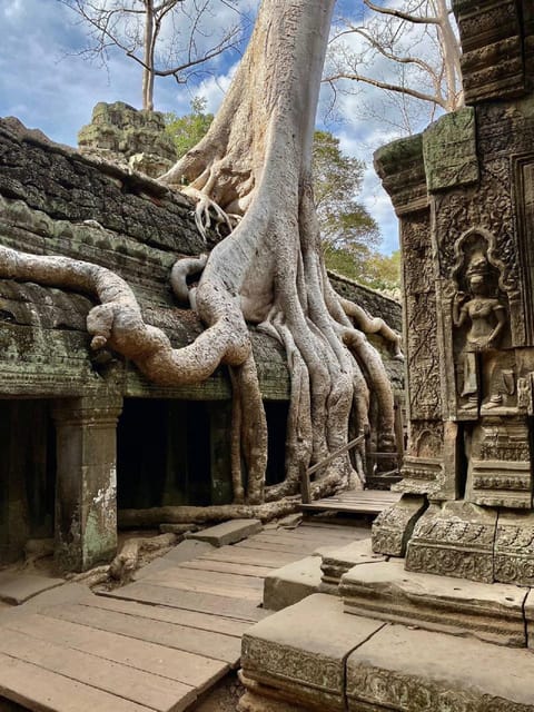 Siem Reap: Angkor 1 Day Tour With French-Speaking Guide - Customer Reviews