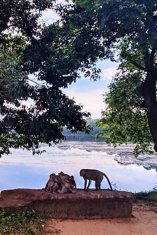 Siem Reap: Angkor Grand Circuit by Vespa - Cultural and Historical Insight