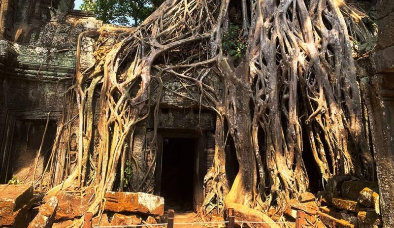 Siem Reap: Angkor Temples Small Circuit Shared Group Tour - Customer Reviews