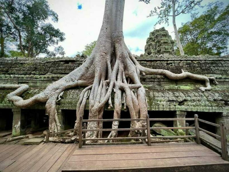 Siem Reap: Angkor Wat Admission Ticket - Authentic Experiences and Additional Tips