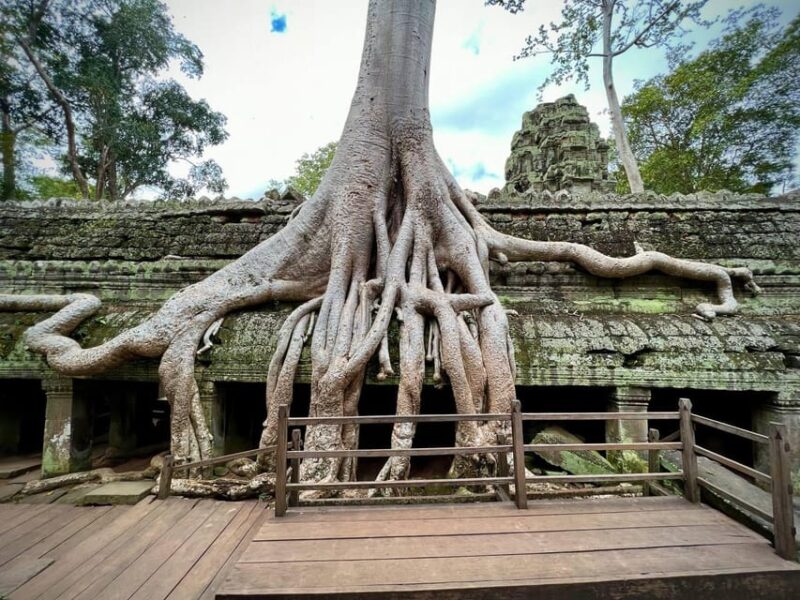 Siem Reap: Angkor Wat Admission Ticket - Experience and Convenience