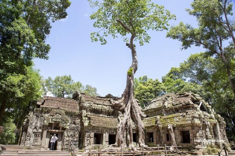 Siem Reap: Angkor Wat Sharing Tour - Important Information