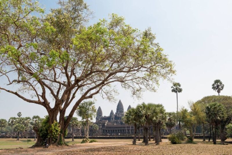 Siem Reap: Angkor Wat Small-Group Historical Day Tour - Good To Know