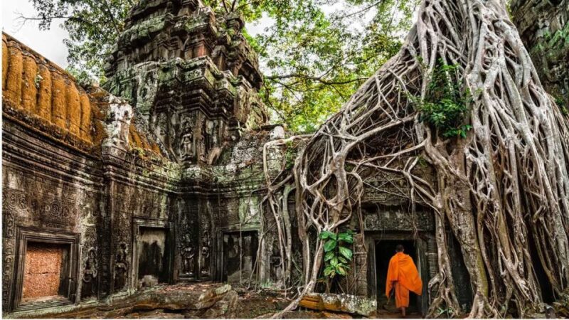 Siem Reap: Angkor Wat Small-Group Historical Day Tour - Itinerary Highlights