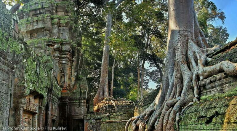 Siem Reap: Angkor Wat: Small-Group Sunrise or Sunset Tour - Introduction