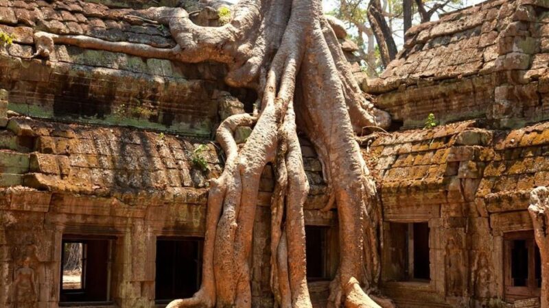 Siem Reap: Angkor Wat: Small-Group Sunrise Tour - Tour Duration and Pricing