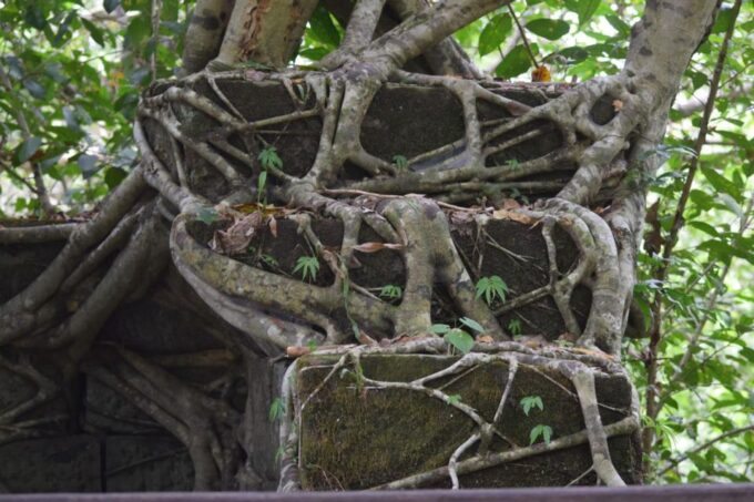 Siem Reap: Banteay Srey and Beng Mealea Full-Day Tour - Cultural Immersion and Dining