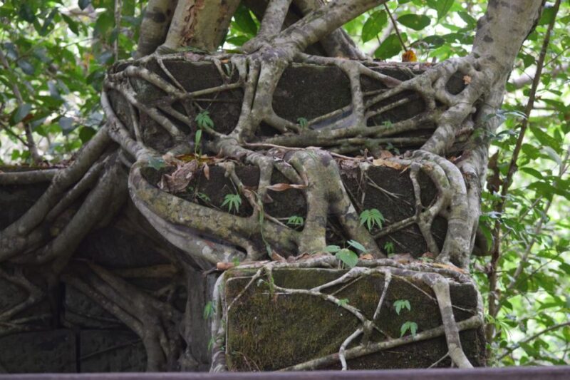 Siem Reap: Banteay Srey and Beng Mealea Full-Day Tour - Dress Code and Recommendations