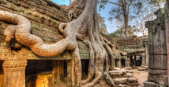 Siem Reap & Battambang: 8 Day Cambodian Wildlife Adventure - Booking and Eligibility