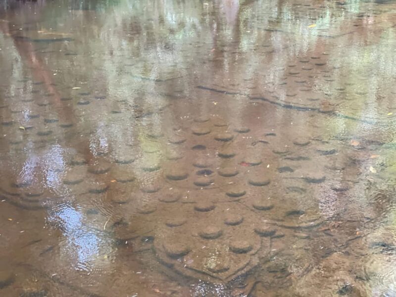 Siem Reap: Beng Mealea and Phnom Kulen Waterfall Tour - Inclusions and Costs