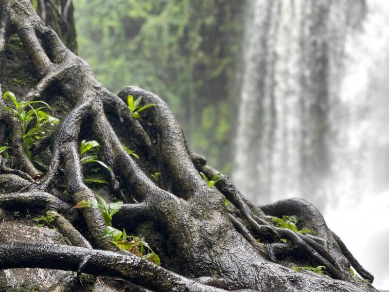 Siem Reap: Beng Mealea and Phnom Kulen Waterfall Tour - Cancellation Policy
