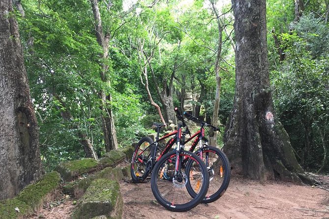 Siem Reap Bike-Twilight in Small Circuit - Key Points