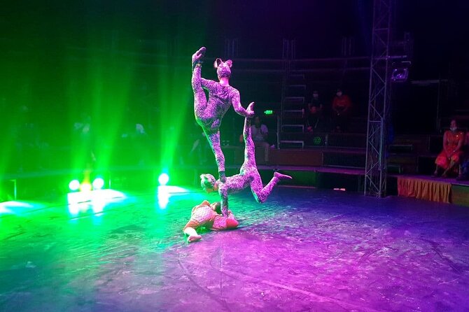 Siem Reap City Tour & The Cambodian Circus - Exploring Siem Reap City