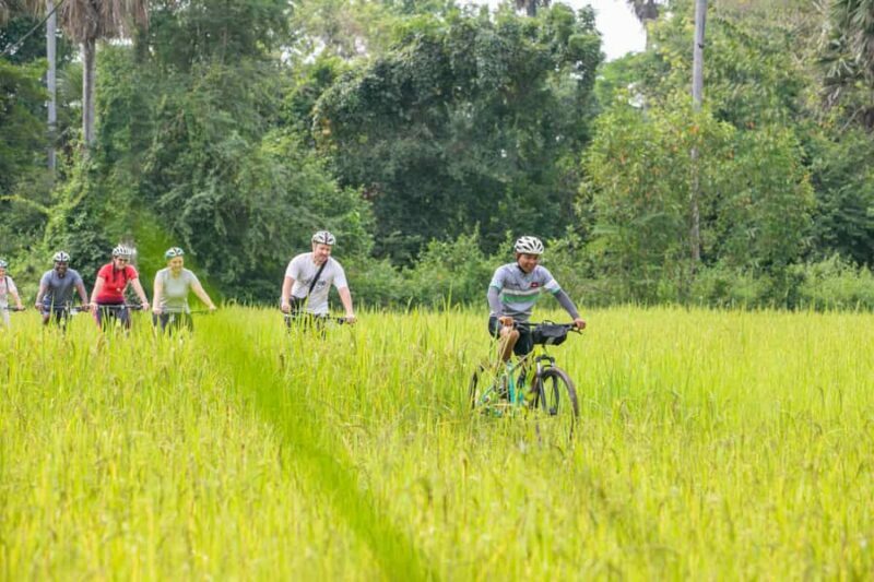 Siem Reap: Countryside Bike Tour - Farms, Temples & Snacks - The Ride Begins: Picking Up the Countryside