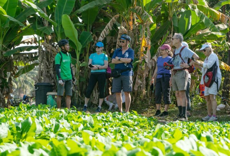 Siem Reap: Countryside Bike Tour - Farms, Temples & Snacks - Practical Details and What to Expect