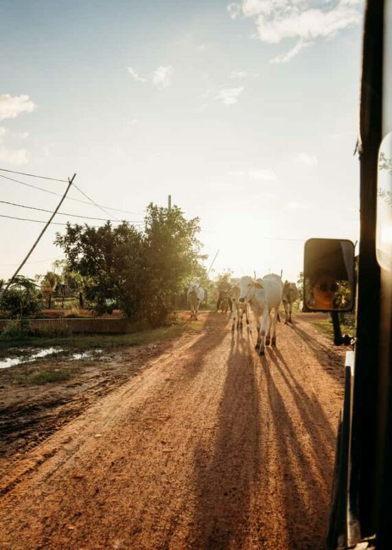 Siem Reap: Countryside Golden Hour Sunset Tour by Tuktuk - Budget and Value