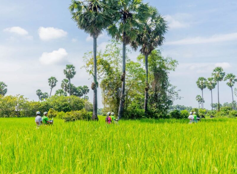 Siem Reap: Countryside Vespa Adventure - Good To Know