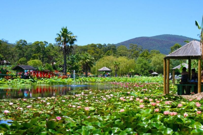 Siem Reap: Countryside With City Tour - by Tuktuk Only - Frequently Asked Questions