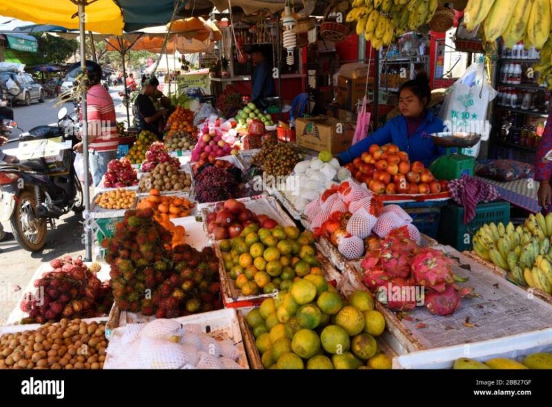 Siem Reap: Countryside With City Tour - Good To Know