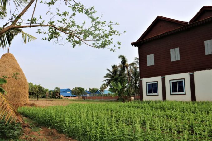 Siem Reap: Eco-Quad Bike Experience - Exploring the Countryside