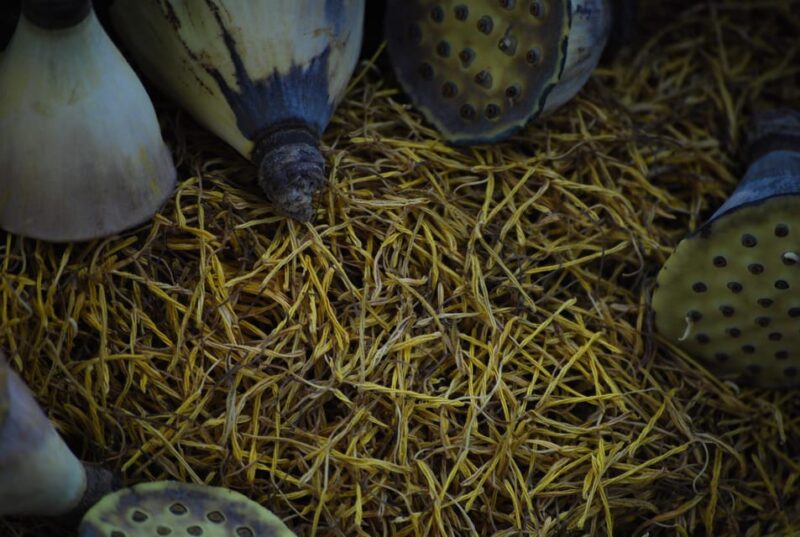 Siem Reap: Guided Visit Lotus Silk Farm+ Lotus Tea+ Biscuits - Complimentary Lotus Tea and Biscuits