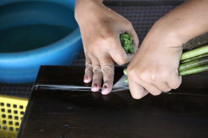 Siem Reap: Guided Visit Lotus Silk Farm+ Lotus Tea+ Biscuits - Handicraft Workshops