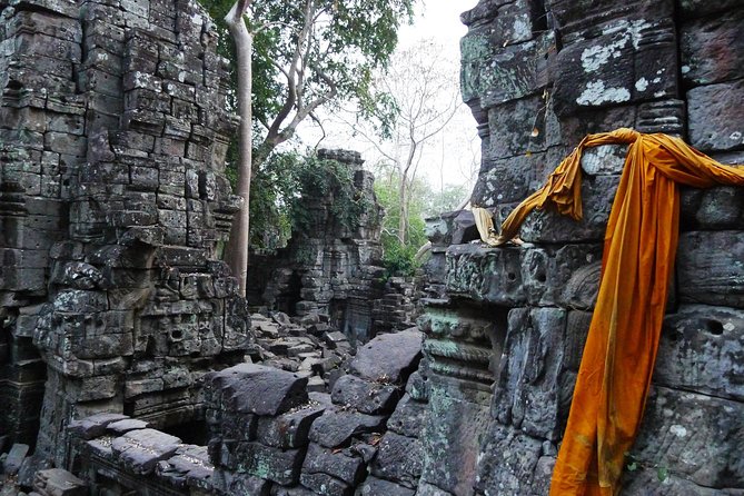 Siem Reap Half Day Dirt Bike Tour - Diverse Terrain Riding