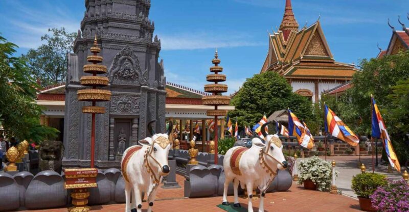 Siem Reap: Half-Day Morning City Tour by Tuk-Tuk - Transportation and Guide