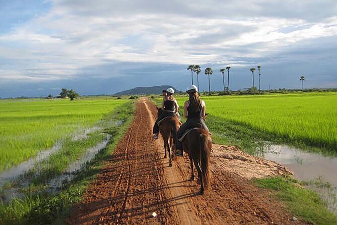 Siem Reap Happy Horse Riding - Customer Feedback and Comparisons