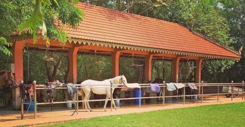 Siem Reap Happy Horse Riding Free Pick-up & Drop-off - Experience Highlights