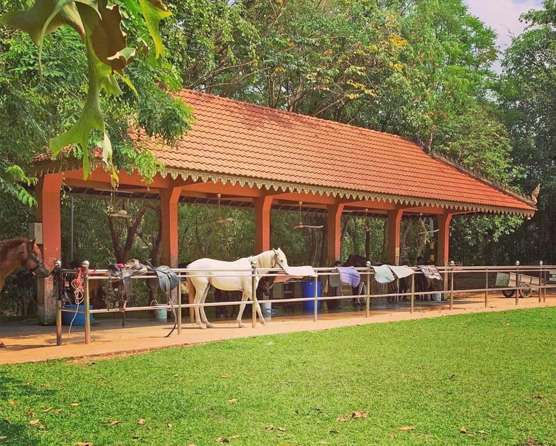 Siem Reap Happy Horse Riding Free Pick-up & Drop-off - Included Services