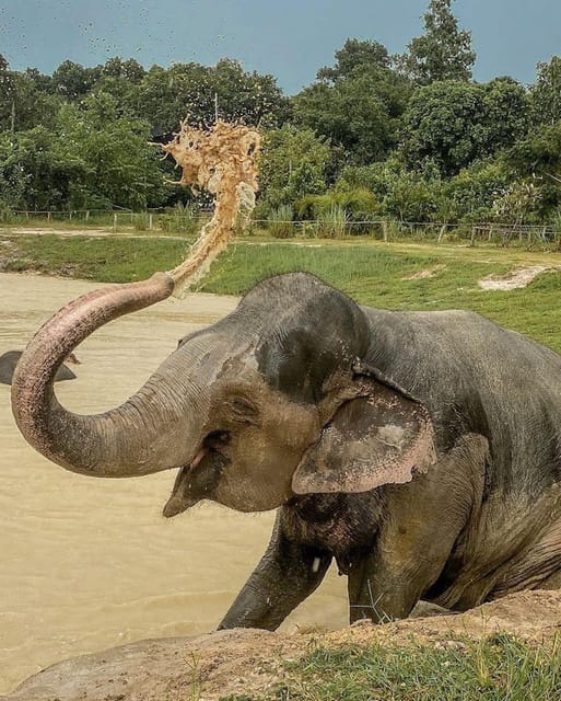 Siem Reap: Kulen Elephant Forest Hotel Pickup and Drop off - Inclusions