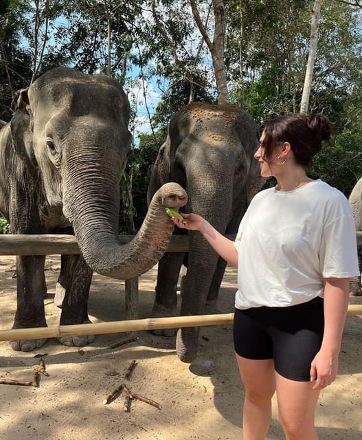 Siem Reap: Kulen Elephant Forest Hotel Pickup and Drop off - Additional Information