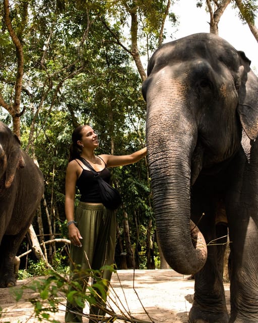 Siem Reap: Kulen Elephant Forest Hotel Pickup and Drop off - Booking and Cancellation
