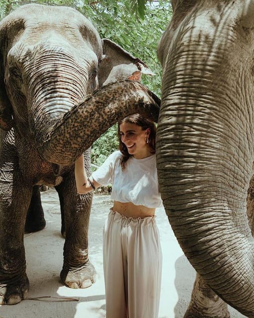 Siem Reap: Kulen Elephant Forest Hotel Pickup and Drop off - Frequently Asked Questions