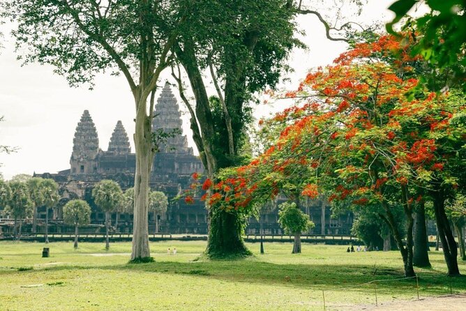 Siem Reap: Local French Speaking Guide for Angkor Wat Day Tour - Cancellation and Booking
