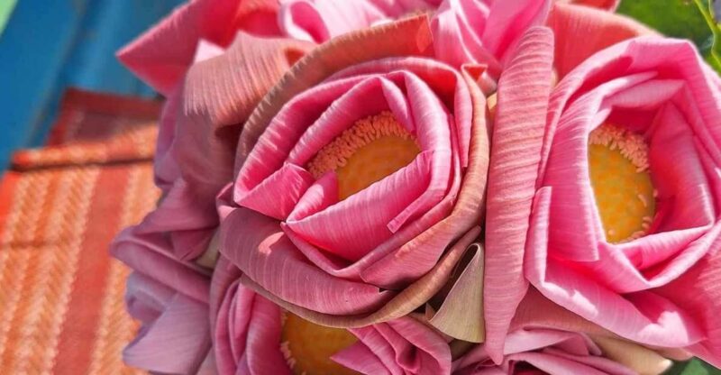 Siem Reap: Lotus Silk Farm Boat Ride & 3 DIY Crafts - Good To Know