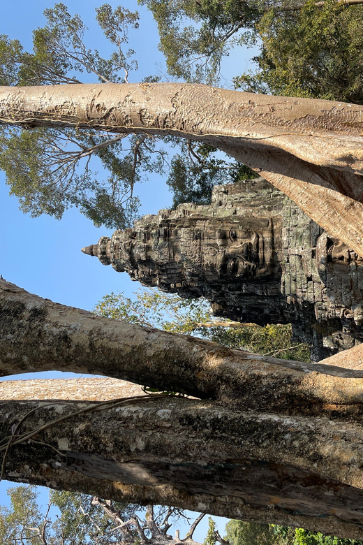 Siem Reap: Private Angkor Wat Full Day Experience - Good To Know