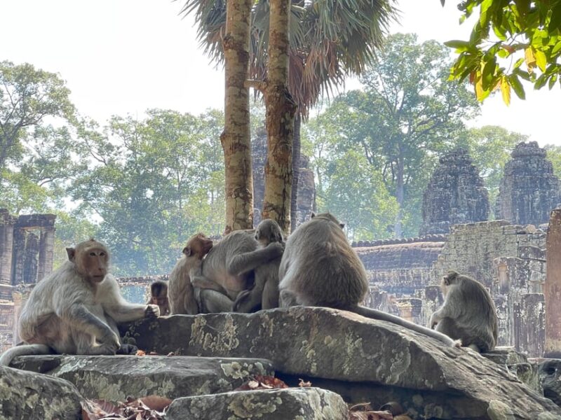 Siem Reap: Private Angkor Wat Full Day Experience - Tour Timing and Reconfirmation
