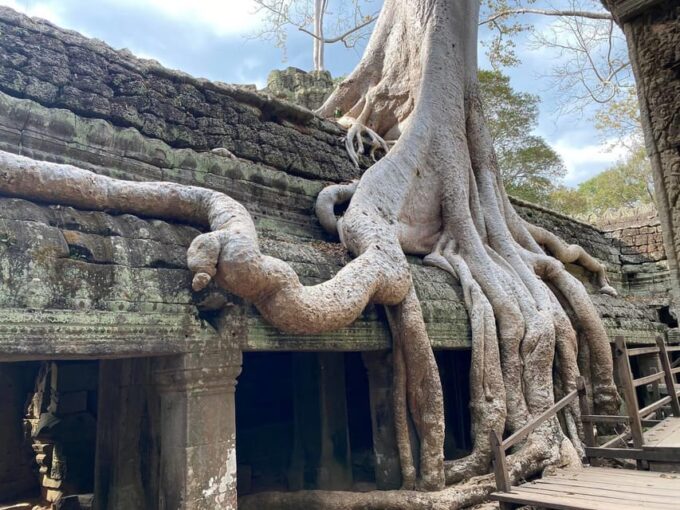Siem Reap: Small Group Tour 1 Day at Angkor Wat - Customer Reviews