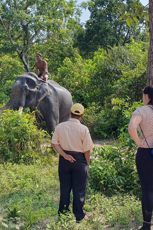 Siem Reap: Small Group Tour of Kulen Elephant Forest - Itinerary Highlights
