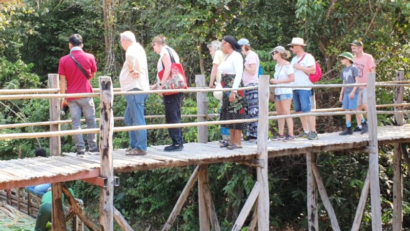 Siem Reap: Small Group Tour of Kulen Elephant Forest - Inclusions and Exclusions