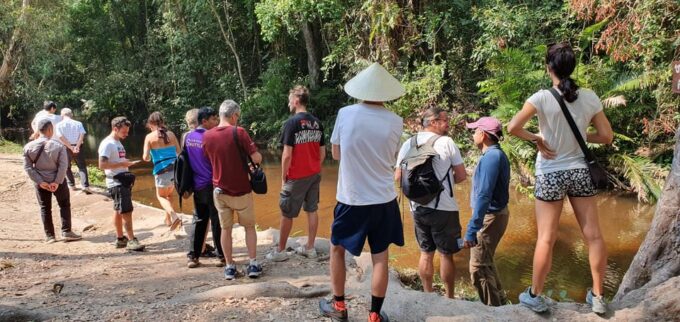 Siem Reap: Small Group Tour of Kulen Elephant Forest - Tour Duration and Fitness Level