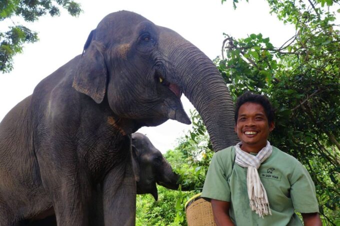 Siem Reap: Small Group Tour of Kulen Elephant Forest - Exploring Kulen Elephant Forest